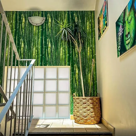 Semesterbostad Indigo Star House