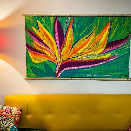 Semesterbostad Indigo Star House Ribeira Brava