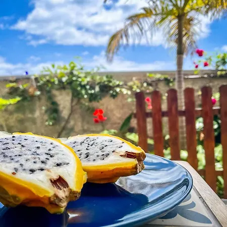 Indigo Star House Ribeira Brava