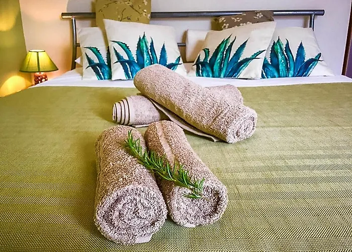 Dom wakacyjny Indigo Star House