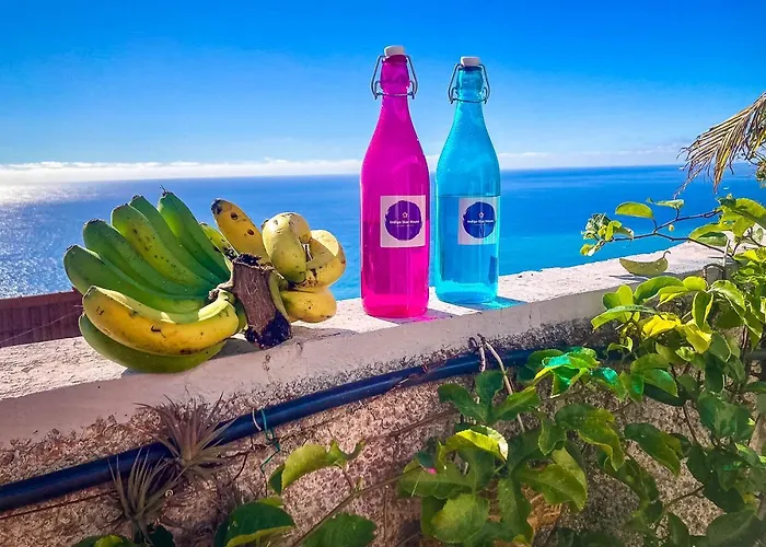 Indigo Star House Dom wakacyjny *